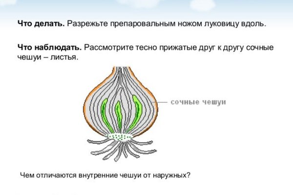 Через какой браузер заходить на кракен