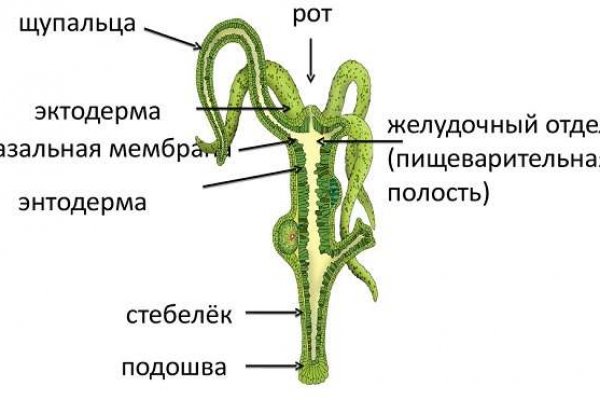Кракен зеркало store
