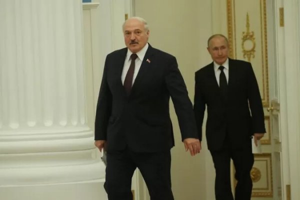 Что за приложение кракен