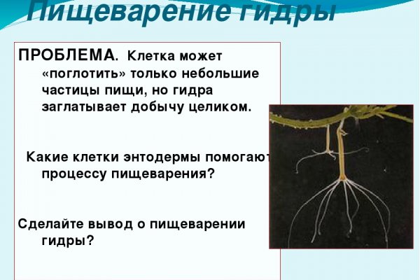 Сайт кракен рабочая ссылка