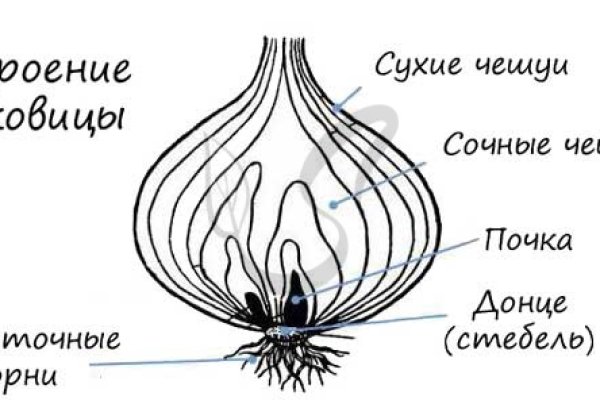 Кракен 16