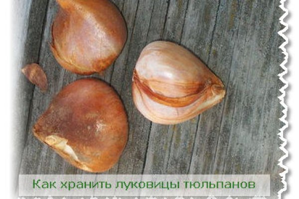 Дарк нет вход