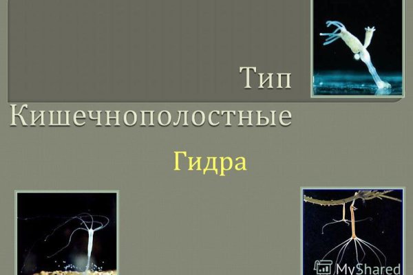 Войти на кракен