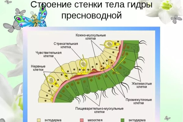 Что будет если зайти в кракен