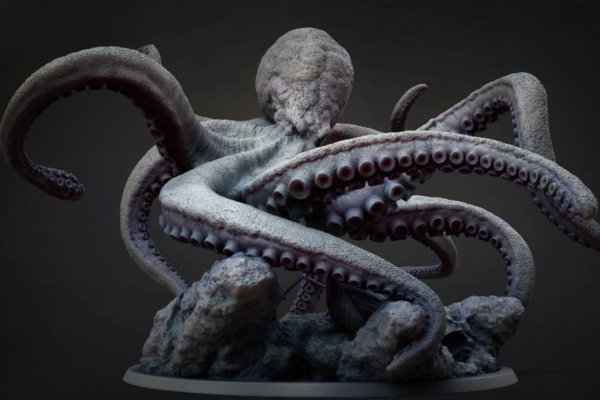Kraken forum
