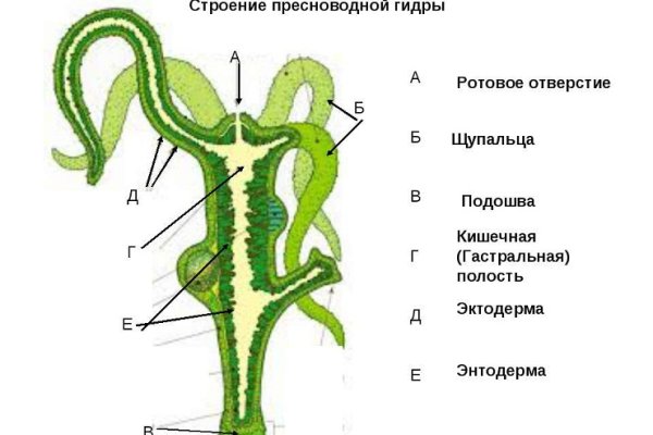 Кракен как зарегистрироваться