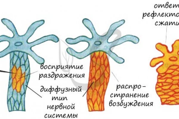 Кракен 9 at