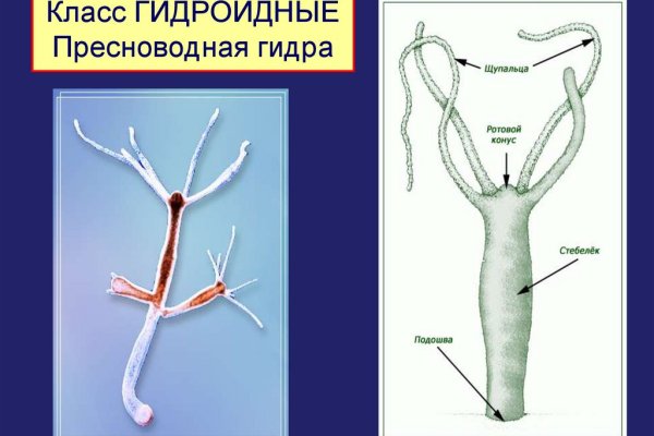 Зайти на кракен через браузер